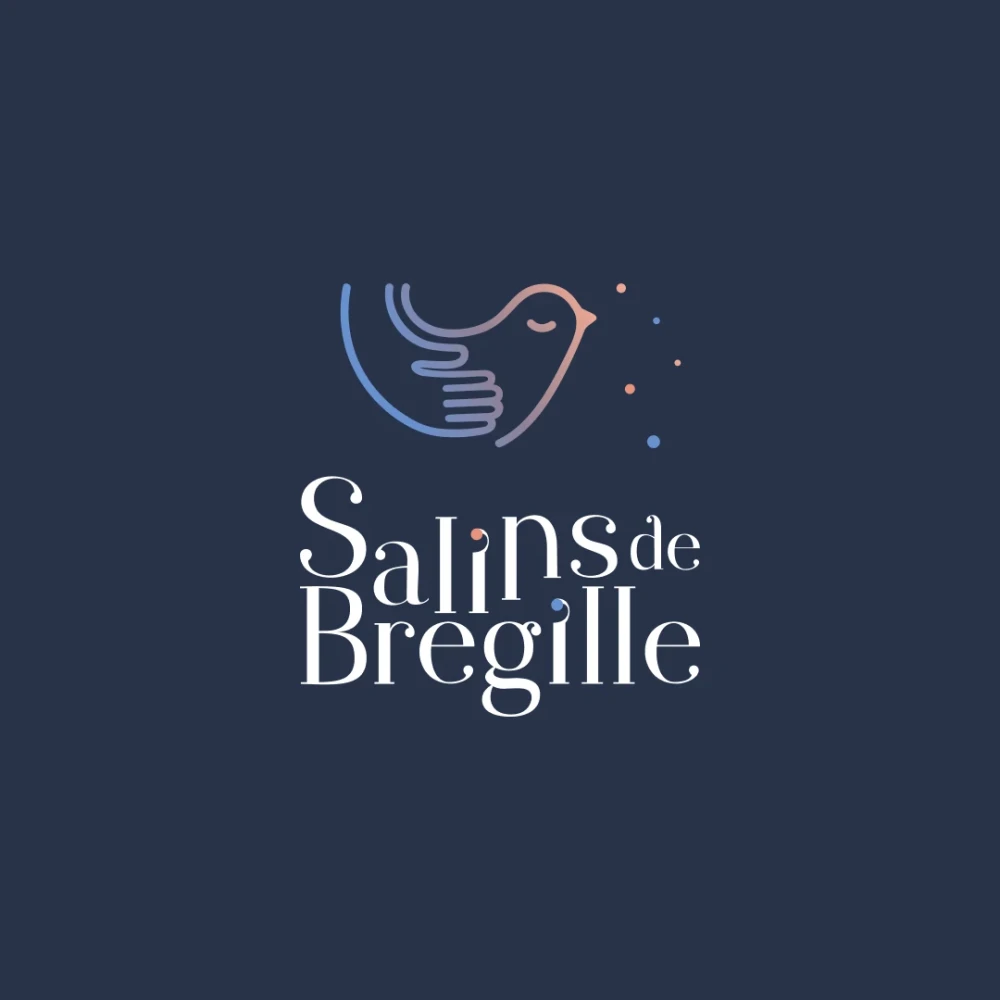 Salins de Bregille Médico-social et plan sanitaire