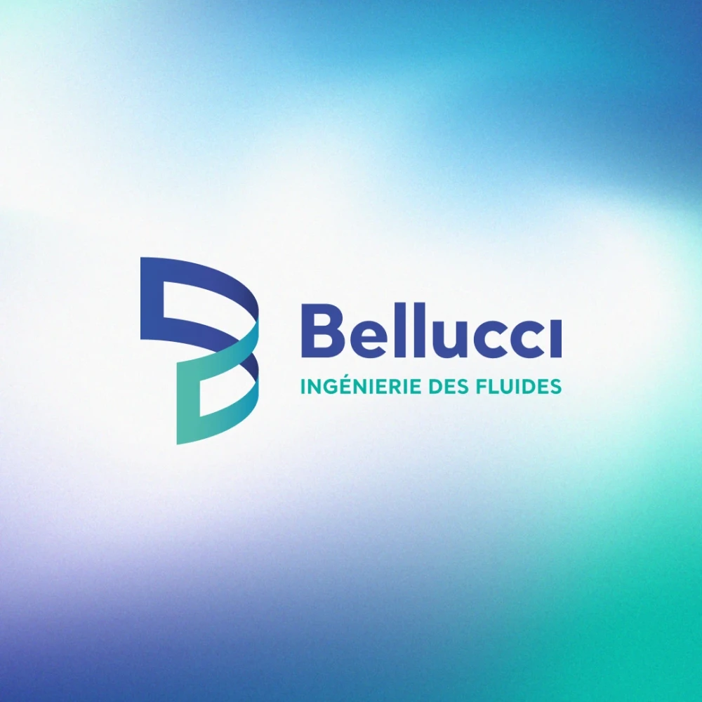 Bellucci Ingénierie des fluides