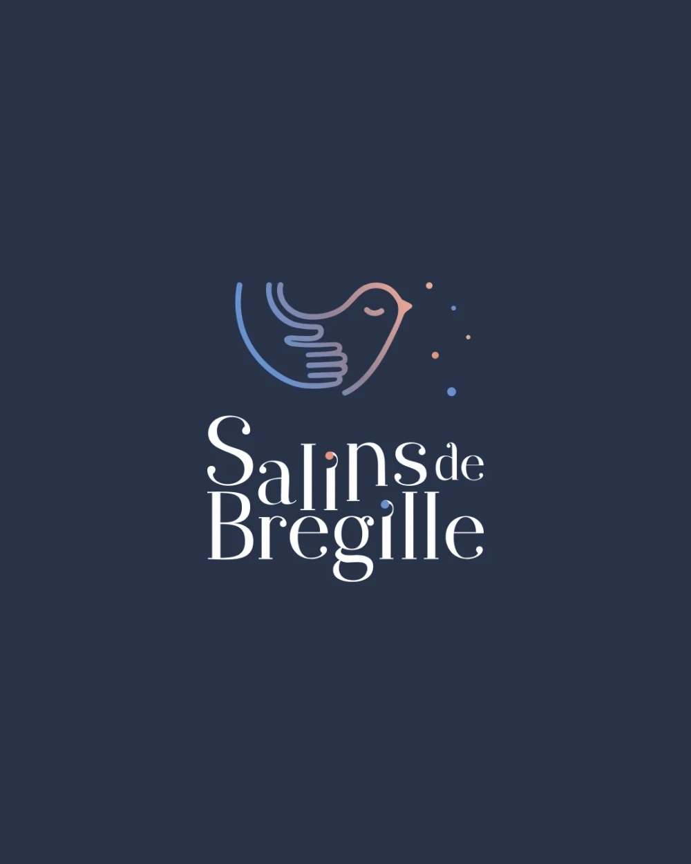 Salins de Bregille Médico-social et plan sanitaire