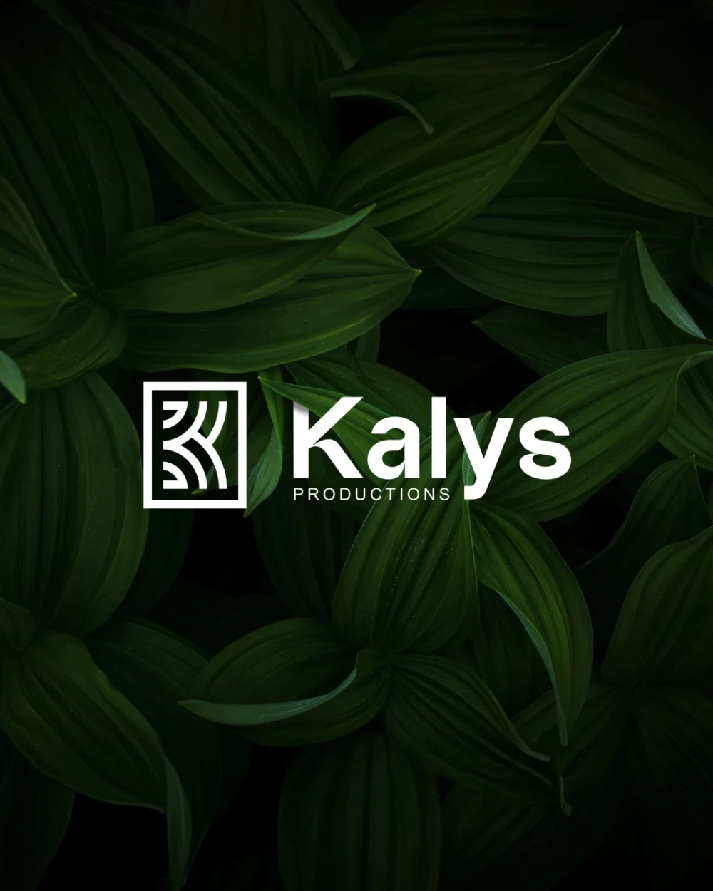 Kalys Farines de konjac