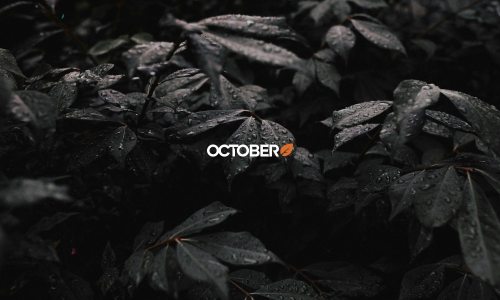 Étude de cas : le parcours de Publipresse avec October CMS